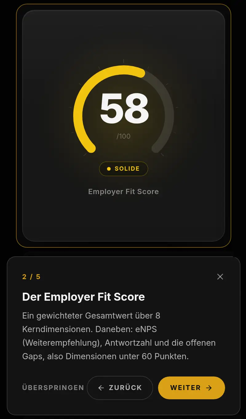 Demo-Cockpit nach der Registrierung: Einführung Schritt 2 von 5 erklärt den Employer Fit Score (Beispieldaten)
